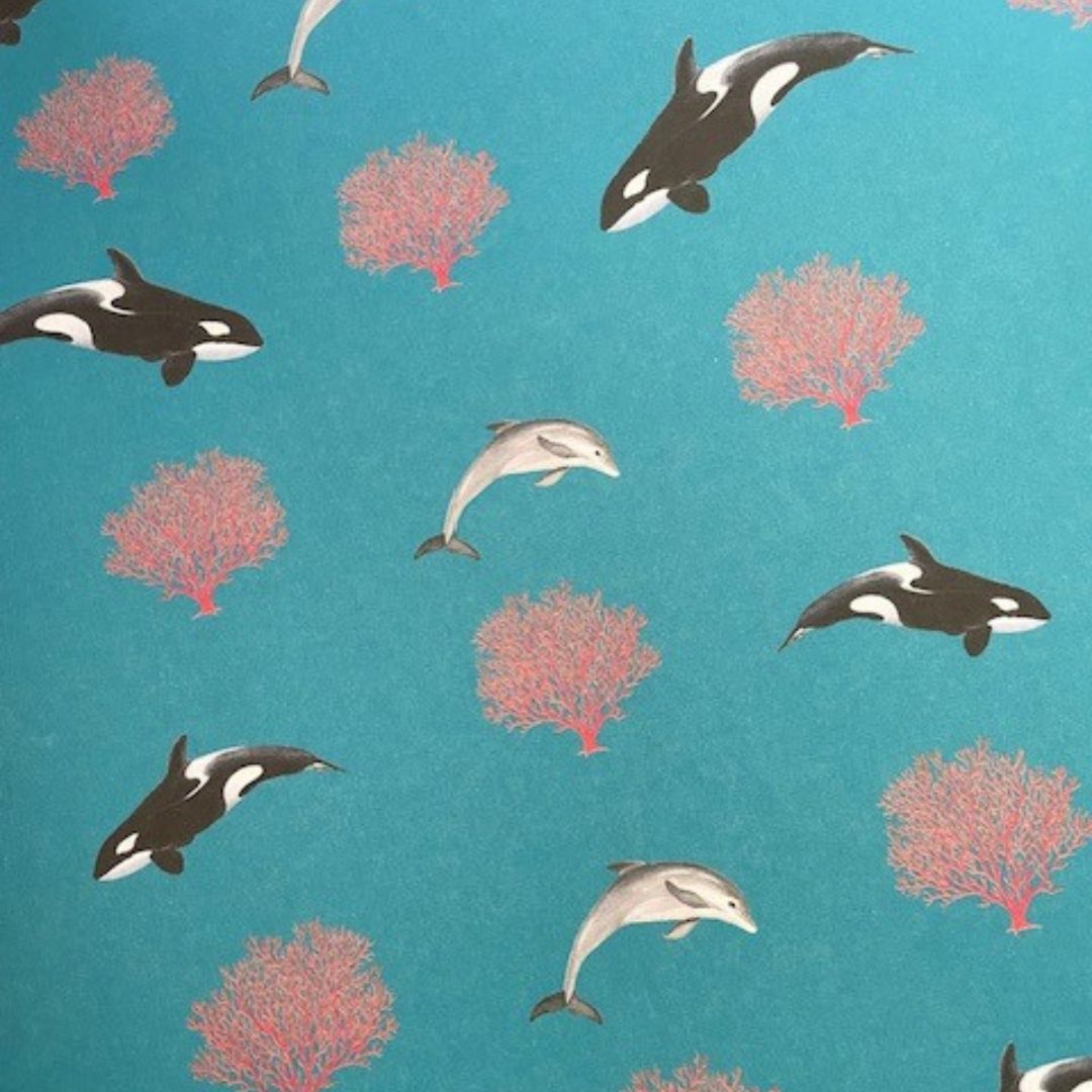 All Wrapped Up: Australian Geographic featuring whales and dolphins