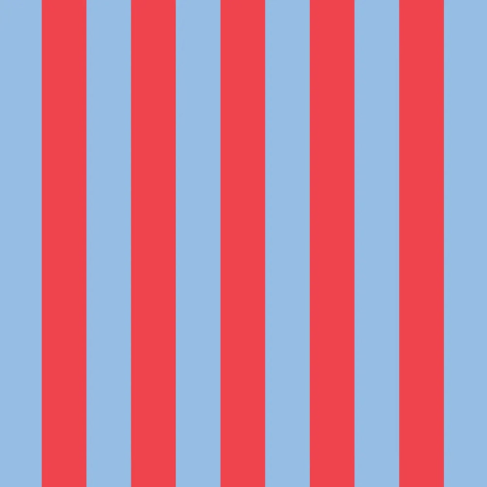 Project Ten Red Blue Stripe Takeaway Bag
