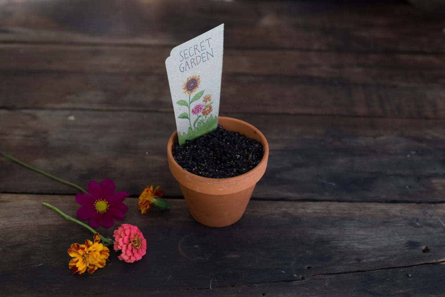 Sow 'n' Sow A Gift of Seeds - Secret Garden