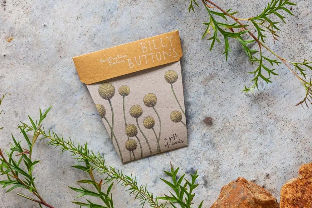 Sow 'n' Sow A Gift of Seeds - Billy Buttons