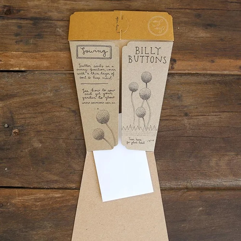 Sow 'n' Sow A Gift of Seeds - Billy Buttons