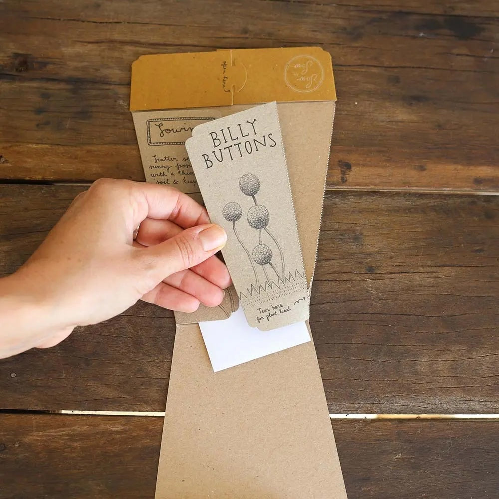 Sow 'n' Sow A Gift of Seeds - Billy Buttons