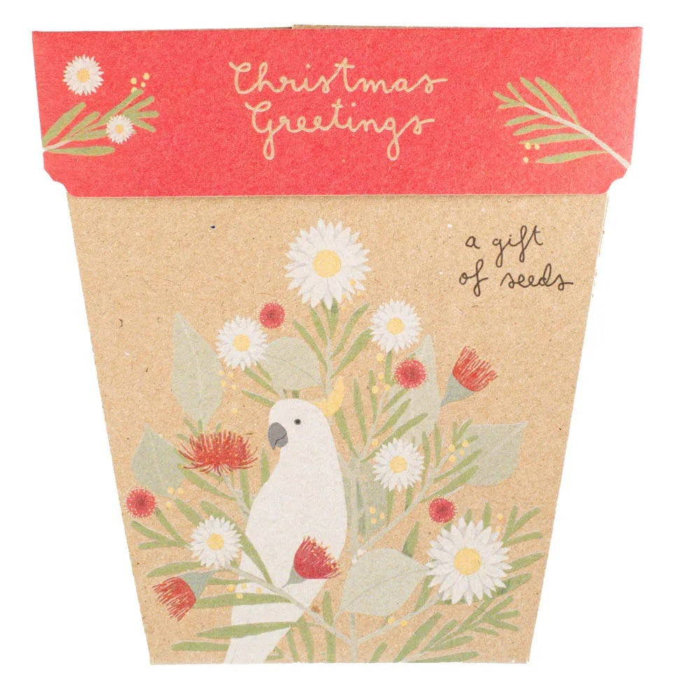 Sow 'n' Sow A Gift of Seeds - Christmas Greetings