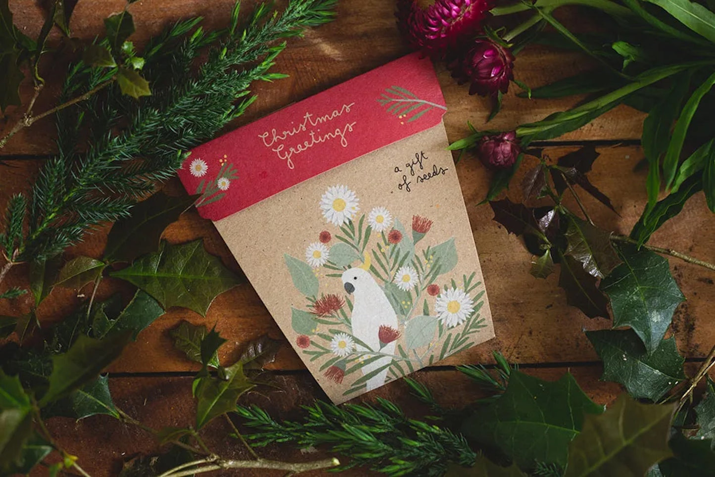 Sow 'n' Sow A Gift of Seeds - Christmas Greetings