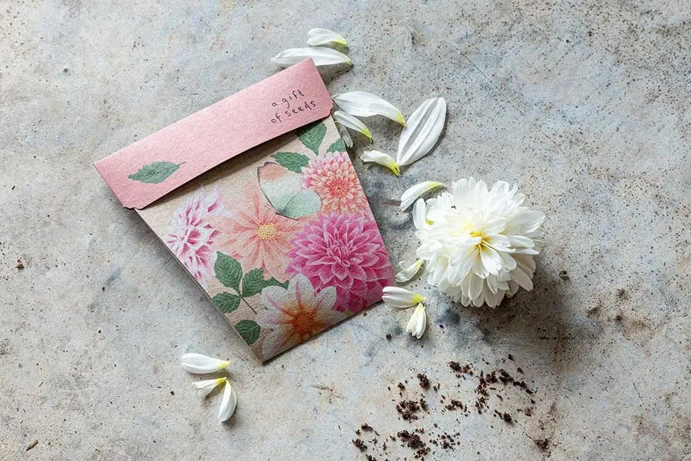 Sow 'n' Sow A Gift of Seeds - Dahlia