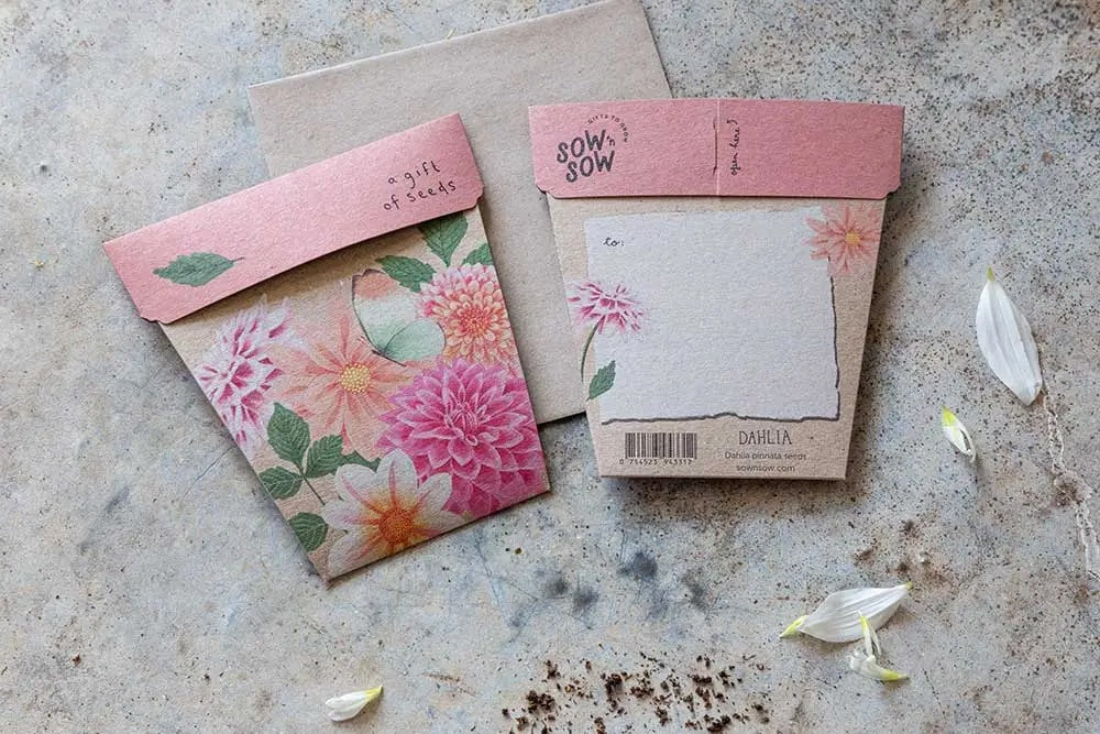 Sow 'n' Sow A Gift of Seeds - Dahlia