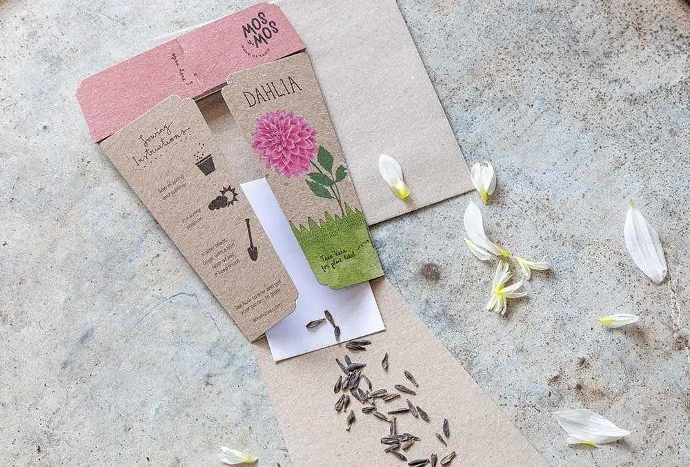Sow 'n' Sow A Gift of Seeds - Dahlia