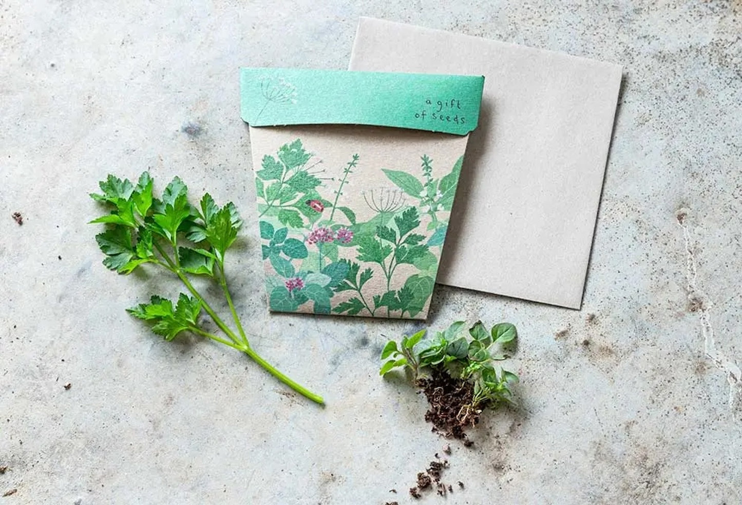 Sow 'n' Sow A Gift of Seeds - Garden Herbs