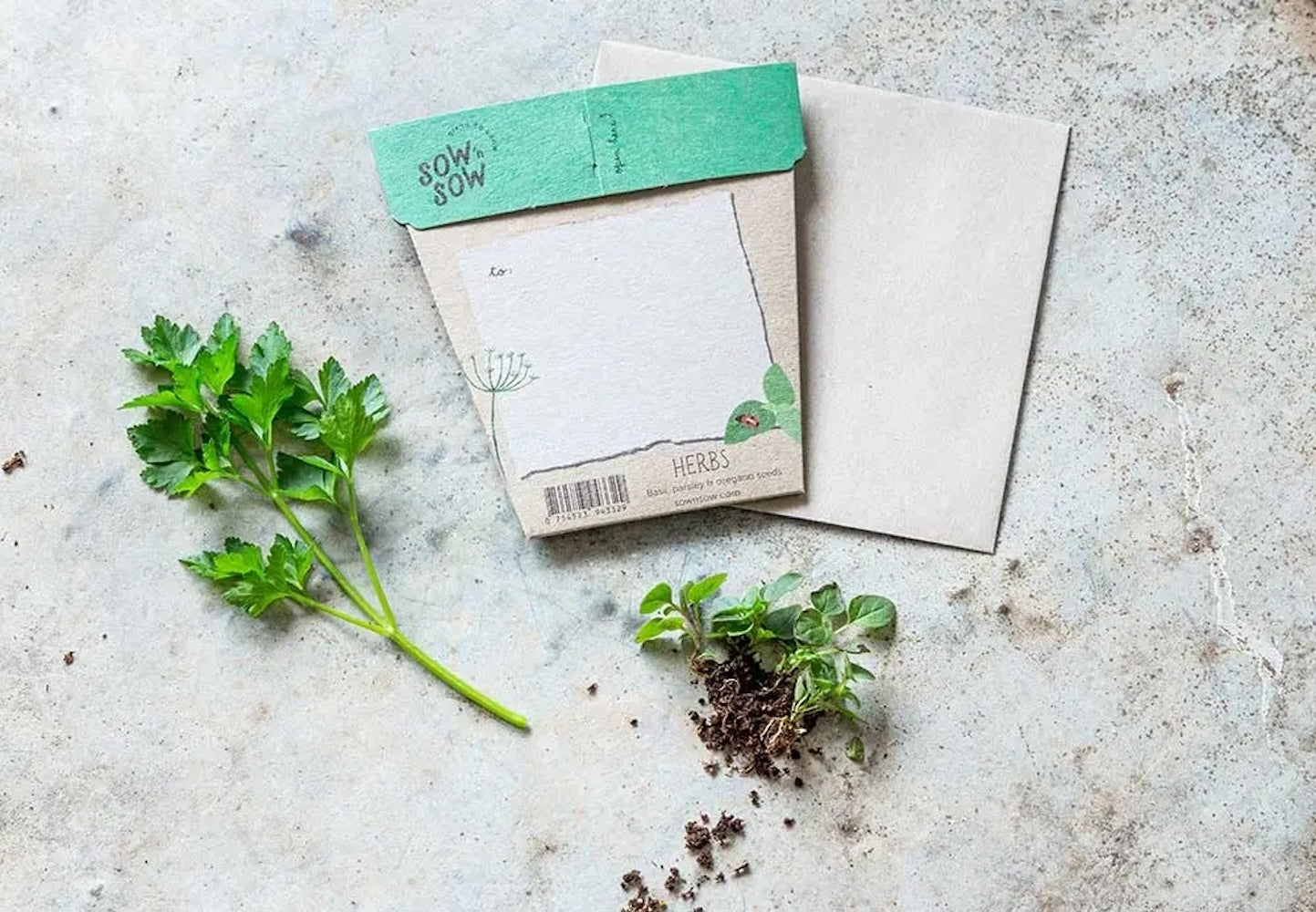 Sow 'n' Sow A Gift of Seeds - Garden Herbs