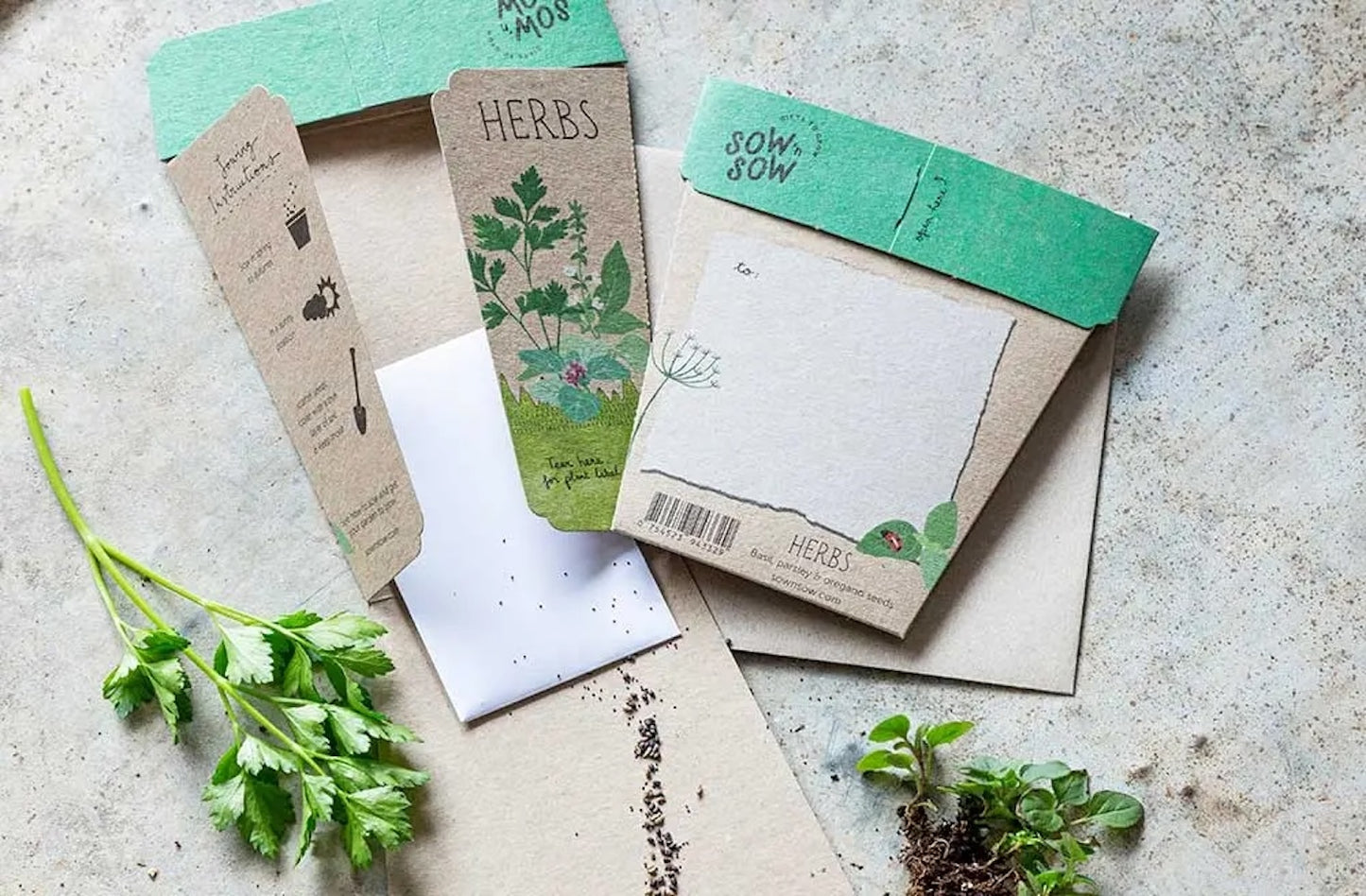 Sow 'n' Sow A Gift of Seeds - Garden Herbs