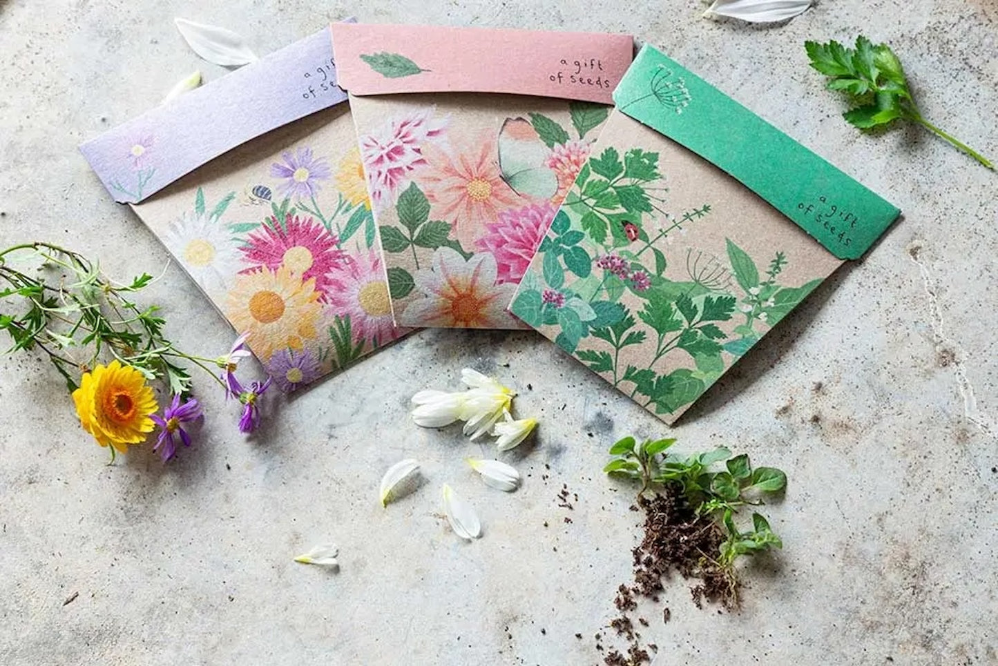 Sow 'n' Sow A Gift of Seeds - Garden Herbs