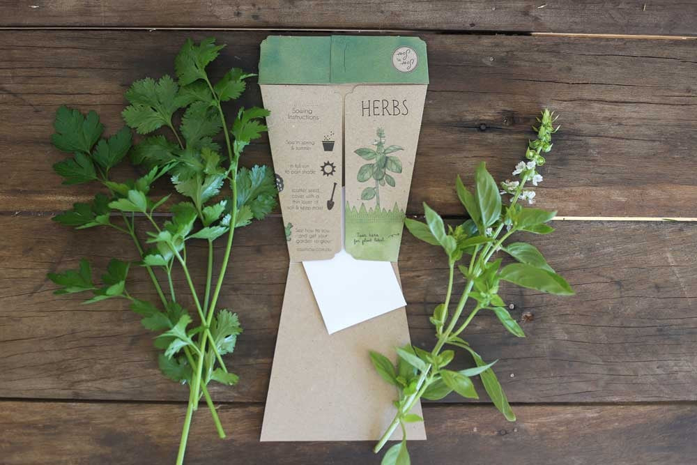 Sow 'n' Sow A Gift of Seeds - Trio of Herbs