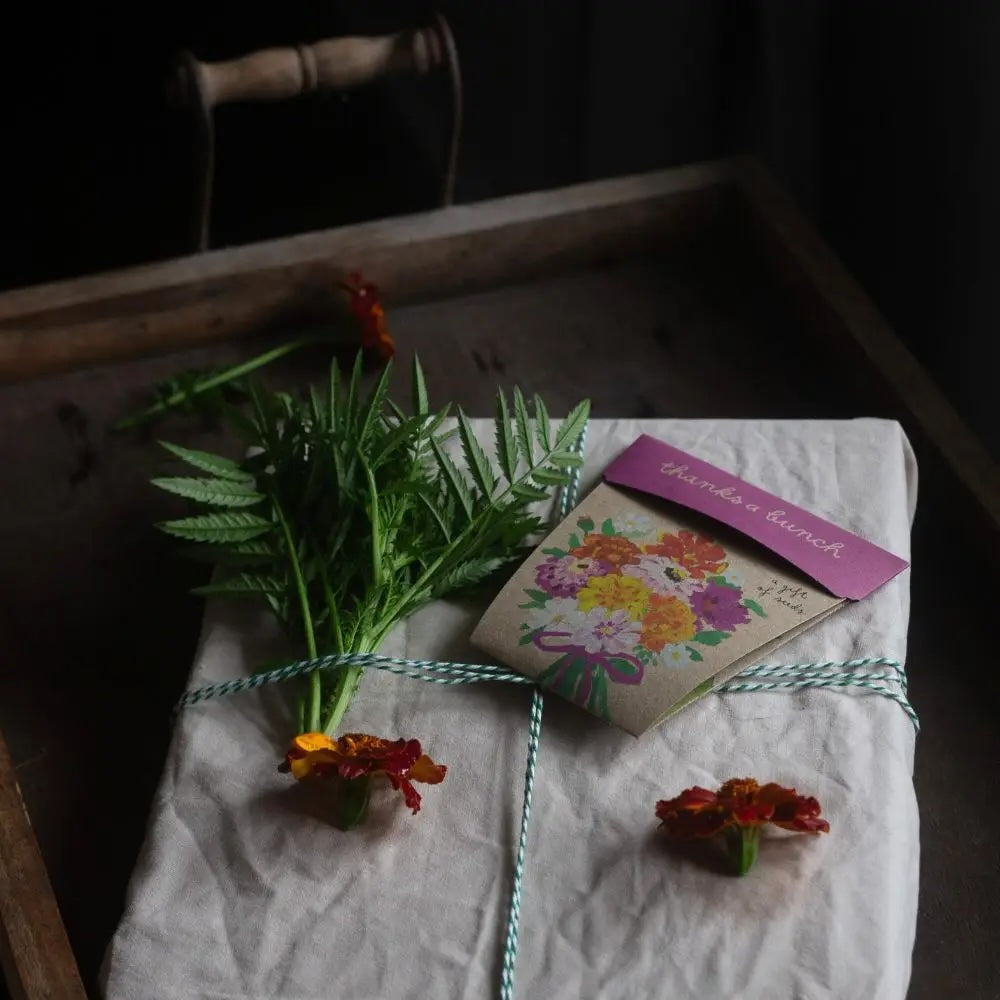 Sow 'n' Sow A Gift of Seeds - Thanks a Bunch