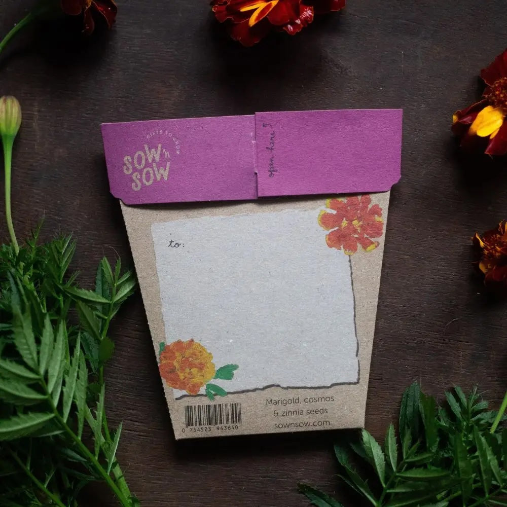 Sow 'n' Sow A Gift of Seeds - Thanks a Bunch