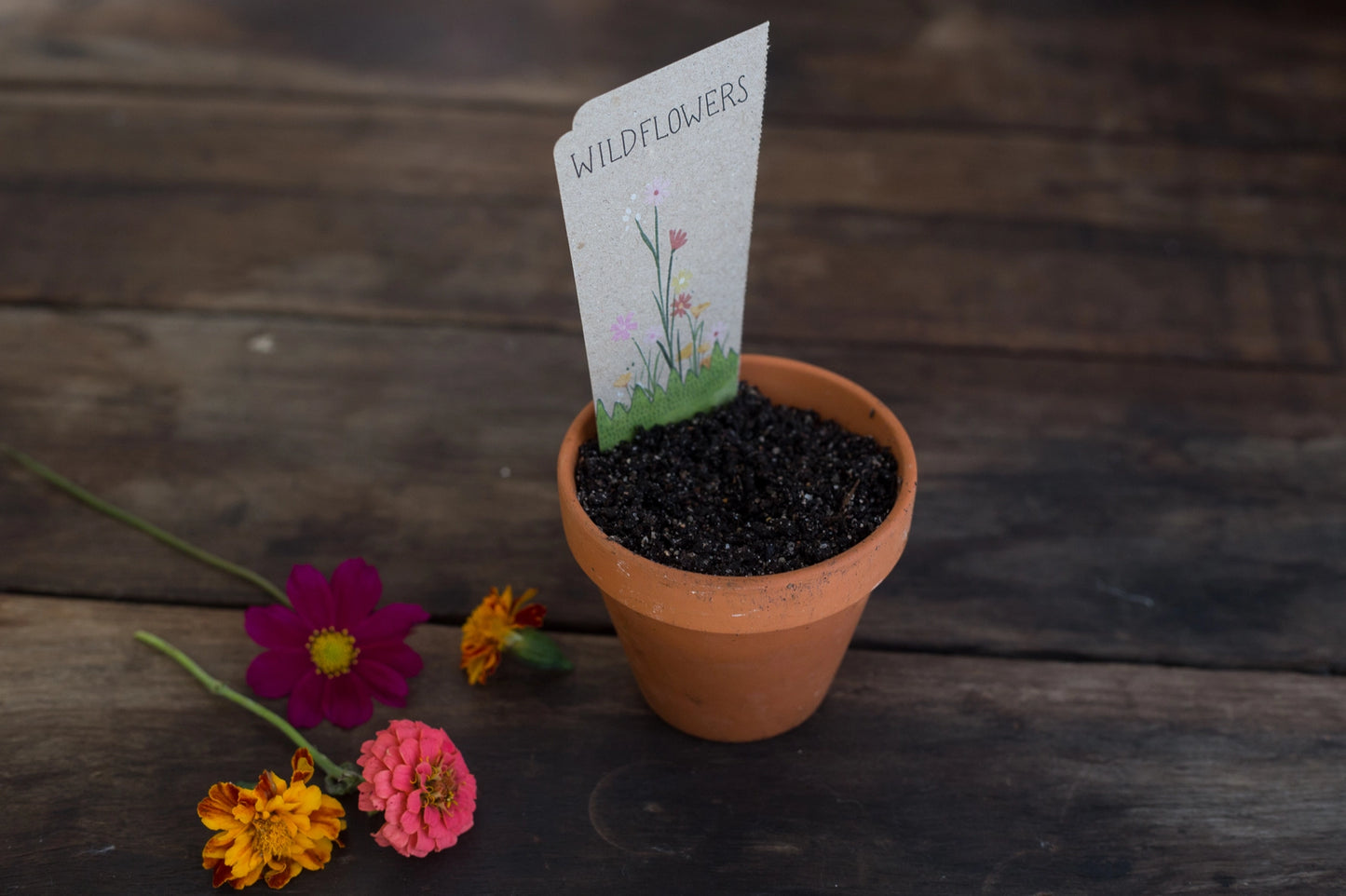 Sow 'n' Sow A Gift of Seeds - Wildflowers