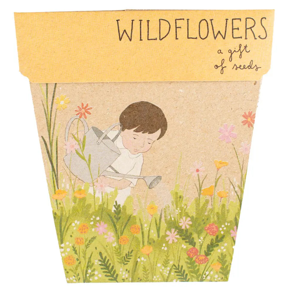 Sow 'n' Sow A Gift of Seeds - Wildflowers