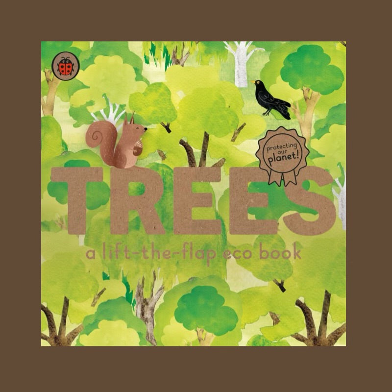 Trees: A lift-the-flap eco book