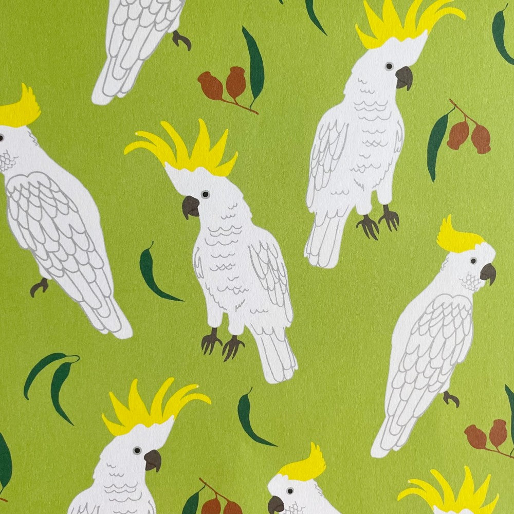 All Wrapped Up: Australia by Alice Oehr