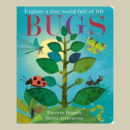 Bugs by Patricia Hegarty & Britta Teckentrup