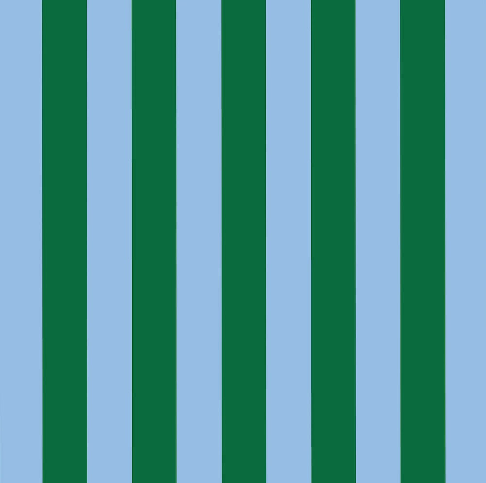 Project Ten Green Blue Stripe Laptop Case