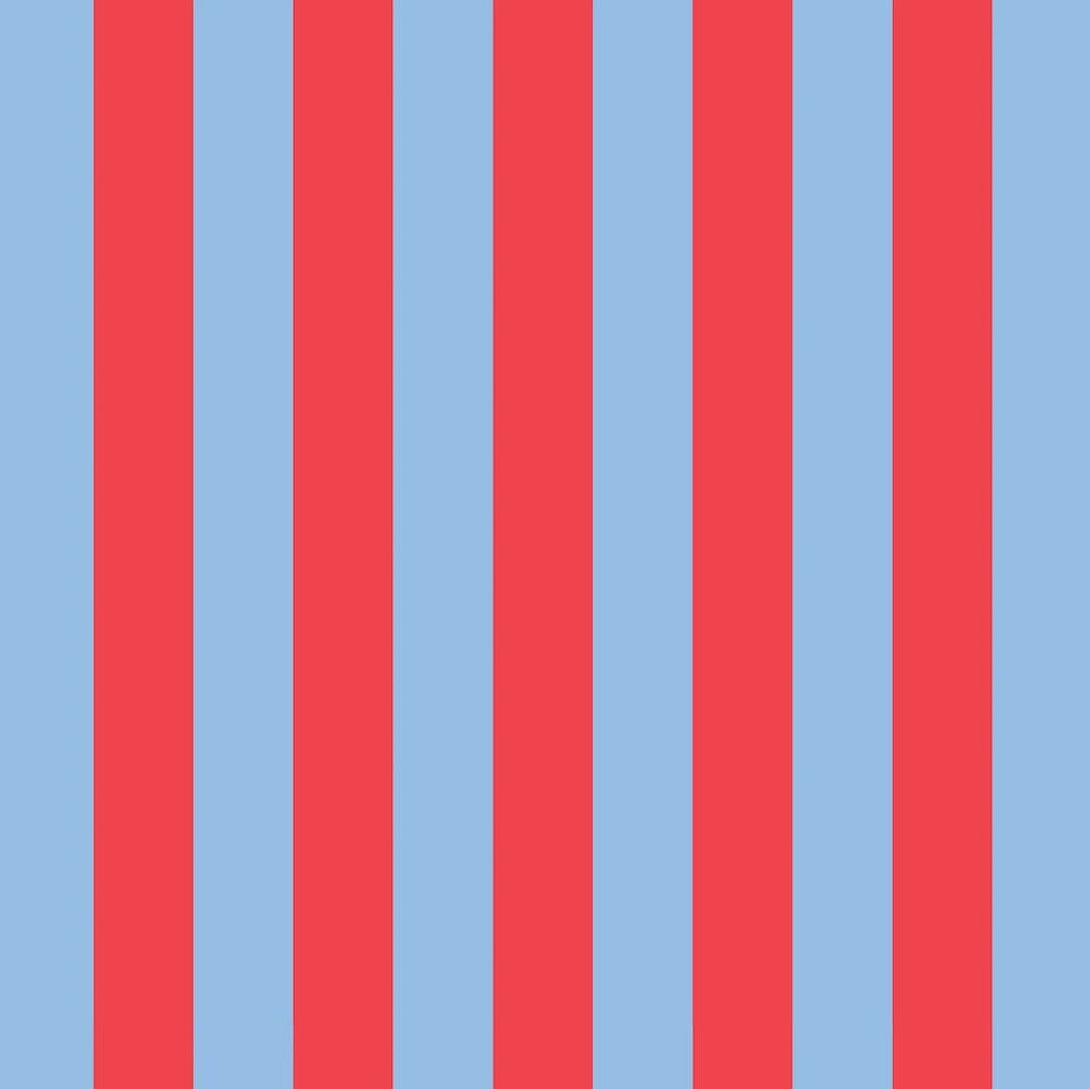 Project Ten Red Blue Stripe Laptop Case