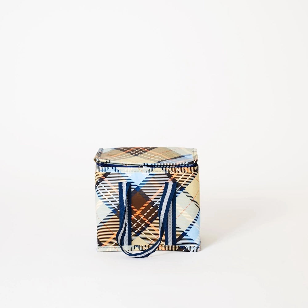 Plaid patterned cooler bag with blue straps on a white background