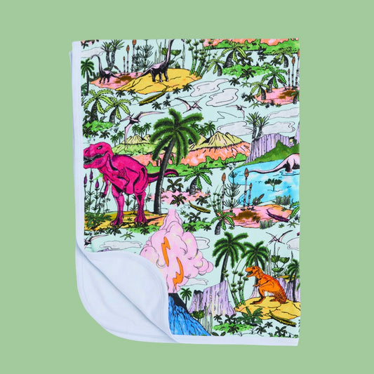 Colorful dinosaur patterned blanket with light blue trimming on a green background