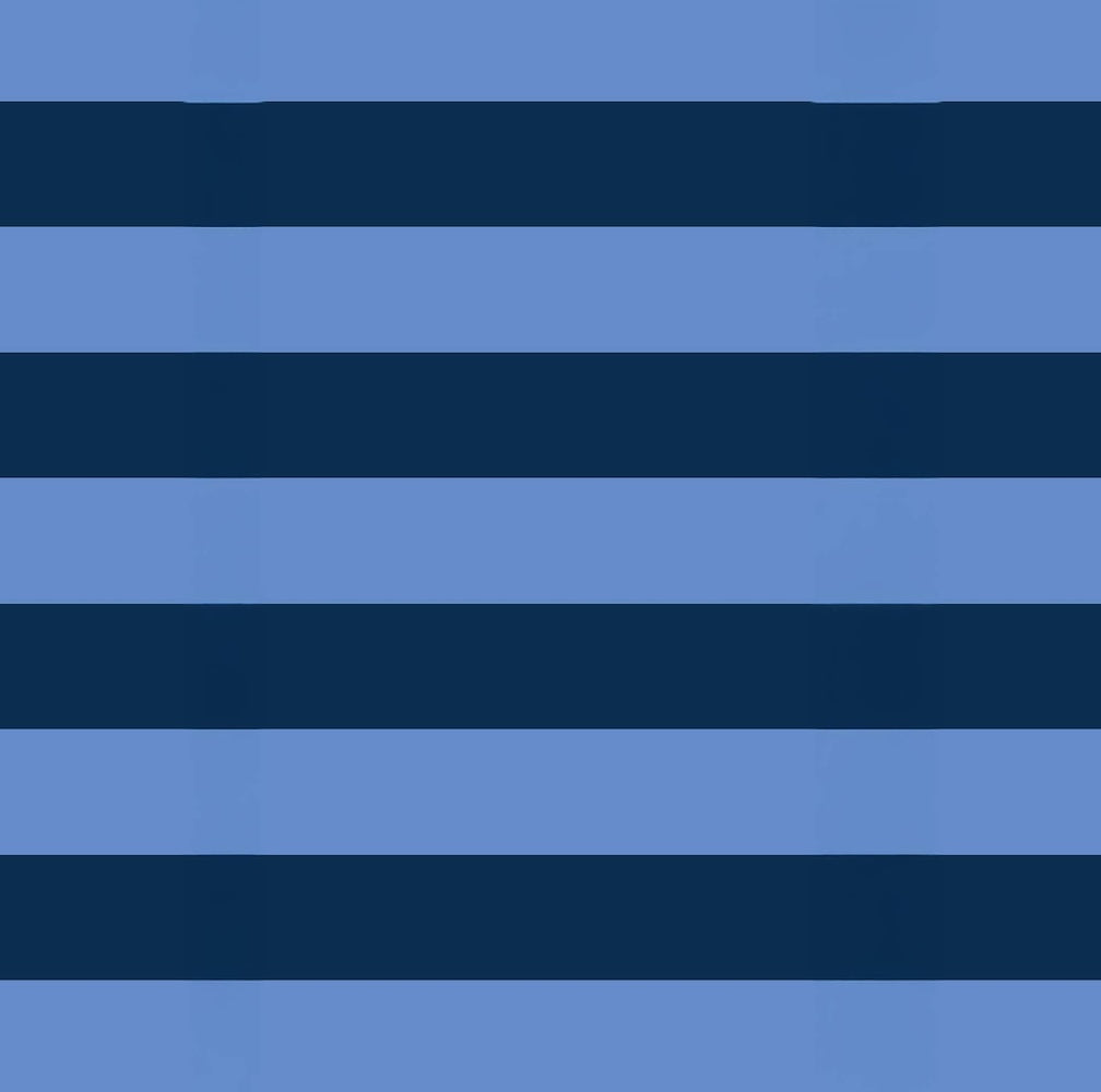 A flat graphic pattern of blue and navy horizontal stripes, the pattern featured in the Project Ten Blue Stripe Packing Cube Set.