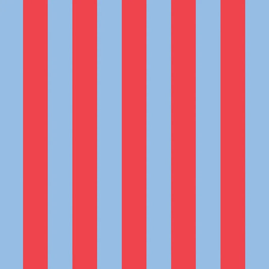 Project Ten Red Blue Stripe Mini Zip Pouch