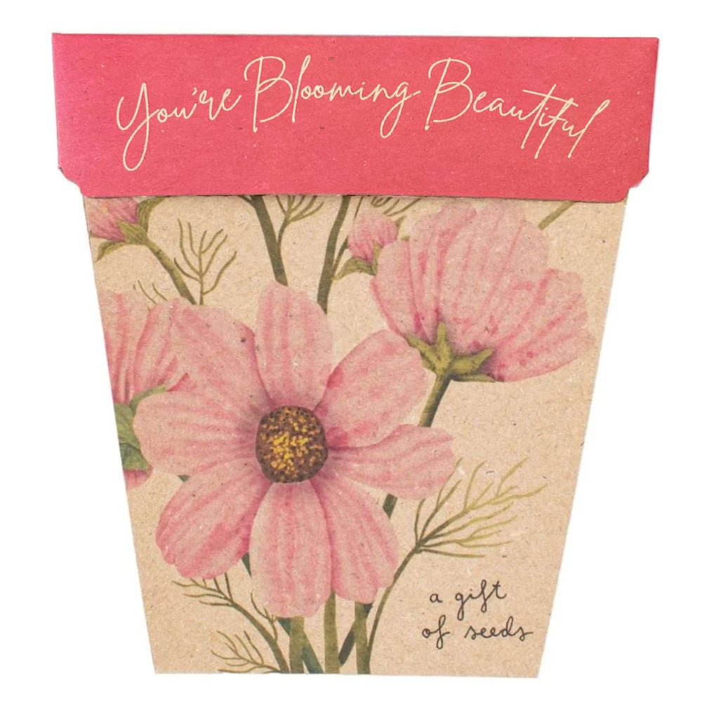 Seed packet with pink flowers and 'You're Blooming Beautiful' text on a white background