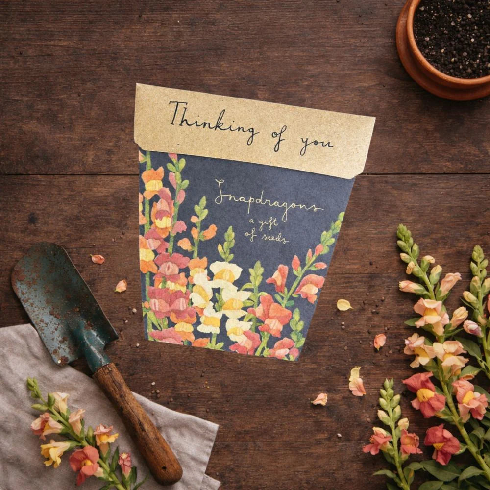 Styled image of Floral seed packet with 'Thinking of you' card on a wooden surface with gardening tools and flowers.