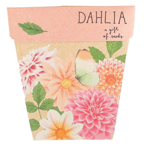 Sow 'n' Sow A Gift of Seeds - Dahlia