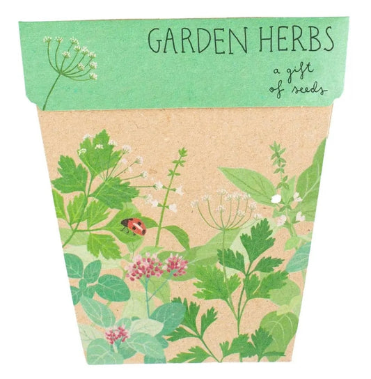 Sow 'n' Sow A Gift of Seeds - Garden Herbs