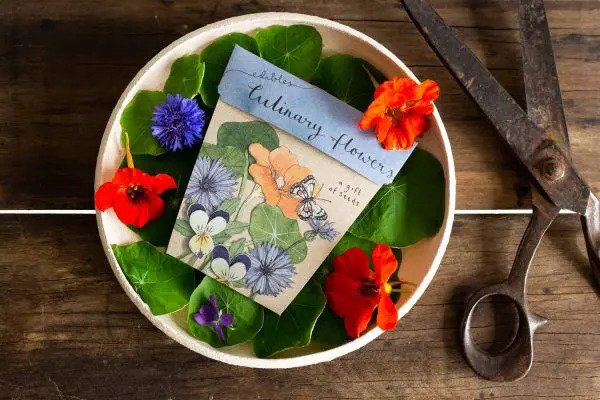 Sow 'n' Sow A Gift of Seeds - Culinary Flowers