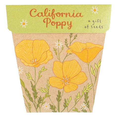 Sow 'n' Sow A Gift of Seeds - California Poppy