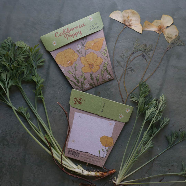 Sow 'n' Sow A Gift of Seeds - California Poppy