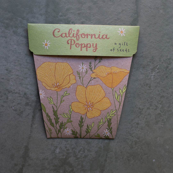 Sow 'n' Sow A Gift of Seeds - California Poppy