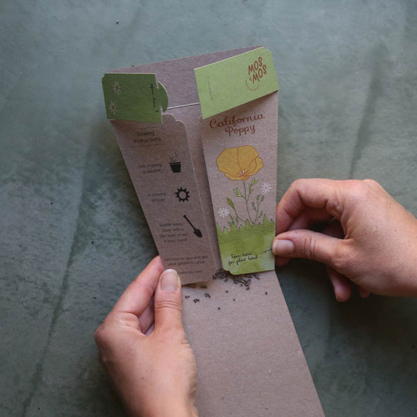 Sow 'n' Sow A Gift of Seeds - California Poppy