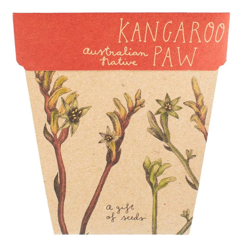Sow 'n' Sow A Gift of Seeds - Kangaroo Paw