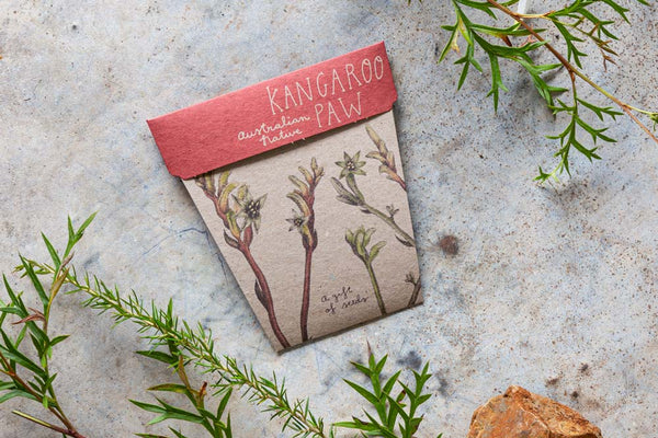 Sow 'n' Sow A Gift of Seeds - Kangaroo Paw