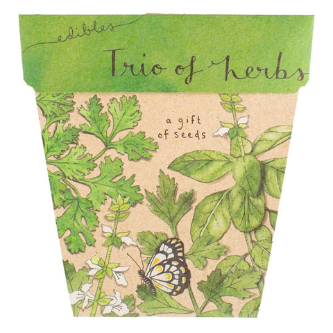 Sow 'n' Sow A Gift of Seeds - Trio of Herbs