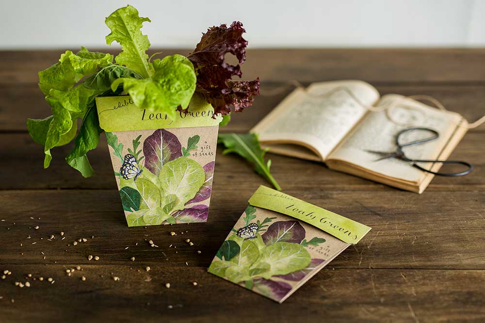 Sow 'n' Sow A Gift of Seeds - Leafy Greens