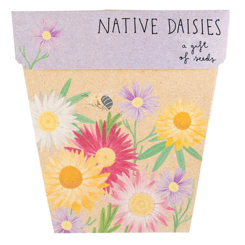 Sow 'n' Sow A Gift of Seeds - Native Daisies