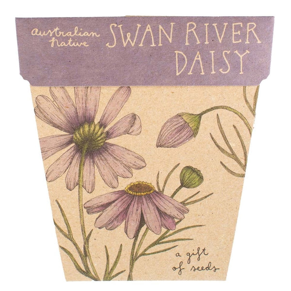 Sow 'n' Sow A Gift of Seeds - Swan River Daisy