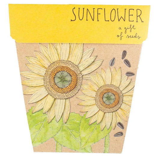 Sow 'n' Sow A Gift of Seeds - Sunflowers