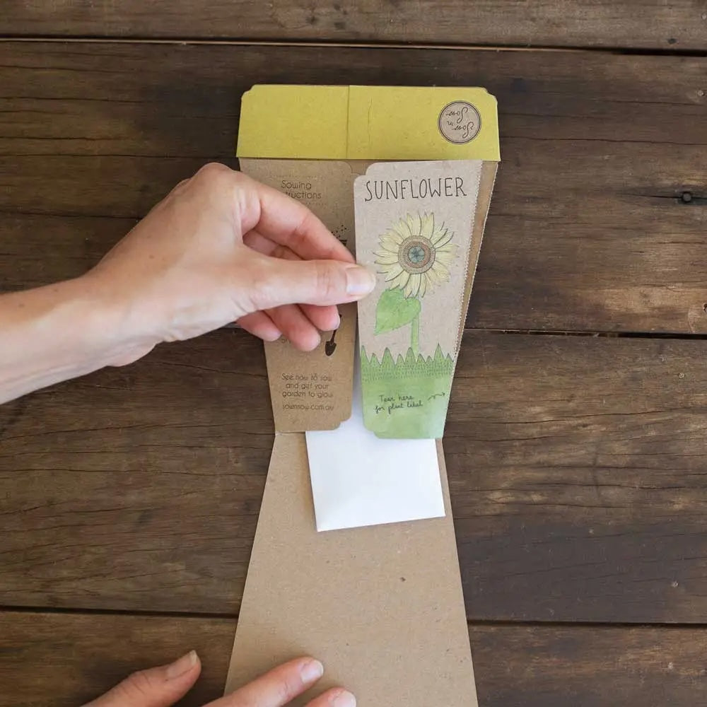 Sow 'n' Sow A Gift of Seeds - Sunflowers