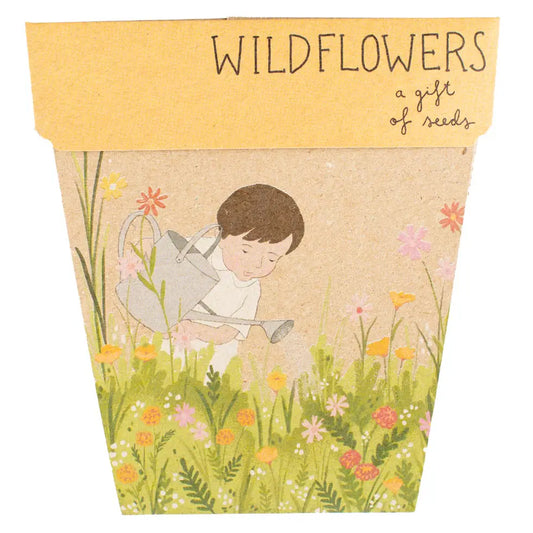 Sow 'n' Sow A Gift of Seeds - Wildflowers