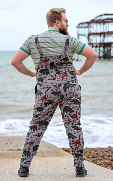Back view of a person standing on a beach, wearing grey dungarees with a dinosaur print.