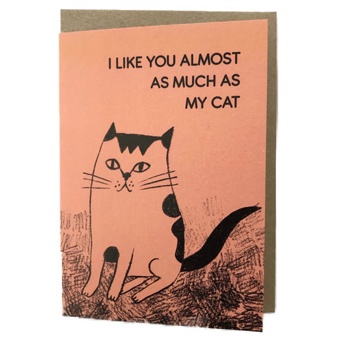 Snail Mail Paper Goods I Like You Cat Card